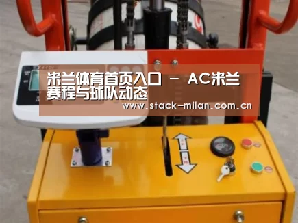 米兰赛事案例展示三