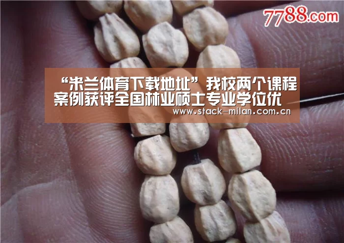 米兰体育下载