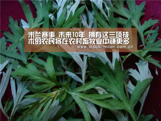 米兰体育下载地址