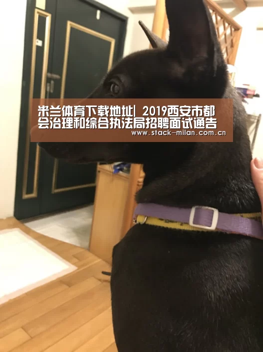 米兰体育下载