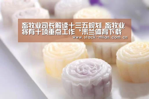 米兰体育下载