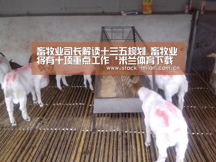 米兰体育下载